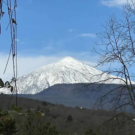 Hébergement de vacances Casa Dragos La Orotava